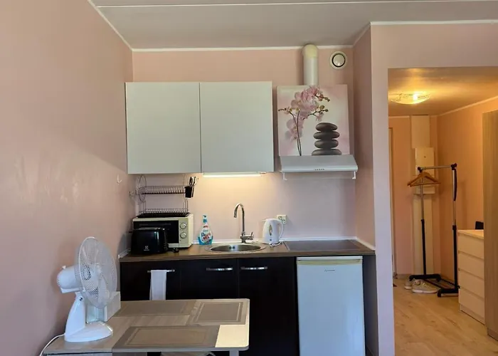 Rotermanni District Bee *